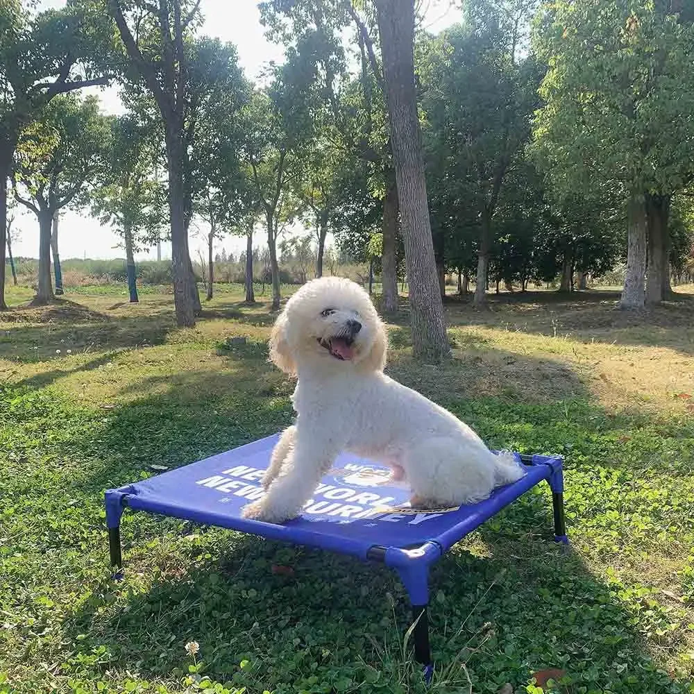 เตียงสุนัขแบบพกพา FULED สำหรับ - Outdoor Camping Dog Bed บทวิจารณ์และราคา