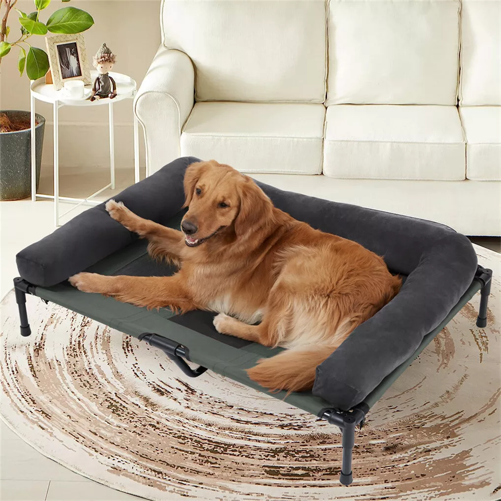 เตียงนอนสุนัขกลางแจ้ง BINGOPAW - Outdoor Camping Dog Bed บทวิจารณ์และราคา