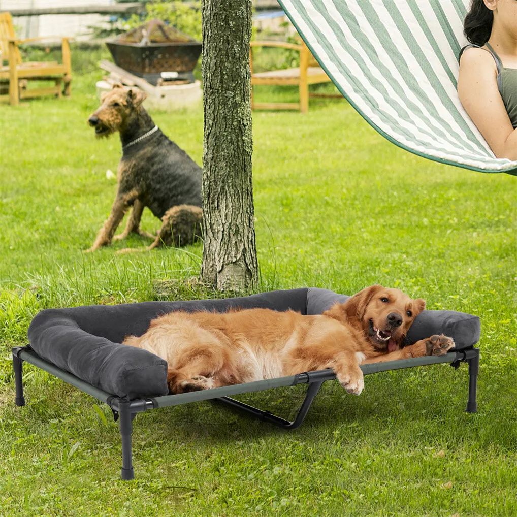 เตียงนอนสุนัขกลางแจ้ง BINGOPAW - Outdoor Camping Dog Bed บทวิจารณ์และราคา
