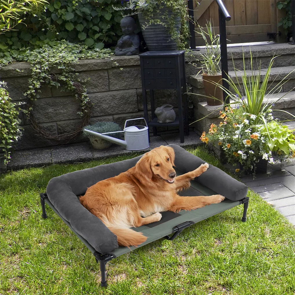 เตียงนอนสุนัขกลางแจ้ง BINGOPAW - Outdoor Camping Dog Bed บทวิจารณ์และราคา